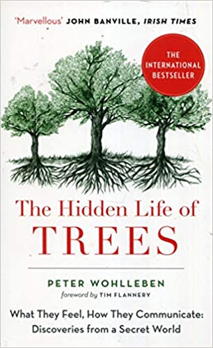 The Hidden Life Of Trees Paperback