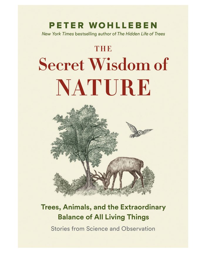 The Secret Network of Nature: Trees, Animals, and the Extraordinary Balance of All Living Things― Stories from Science and Observation (The Mysteries of Nature, 3) Paperback – October 11, 2022